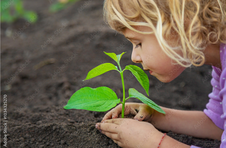 Ein Kind das eine Pflanze in die Erde setzt.
