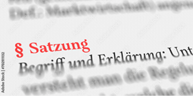 Beispiel Bild einer Satzung.